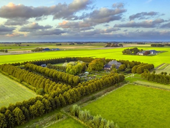 Agrarian Estate