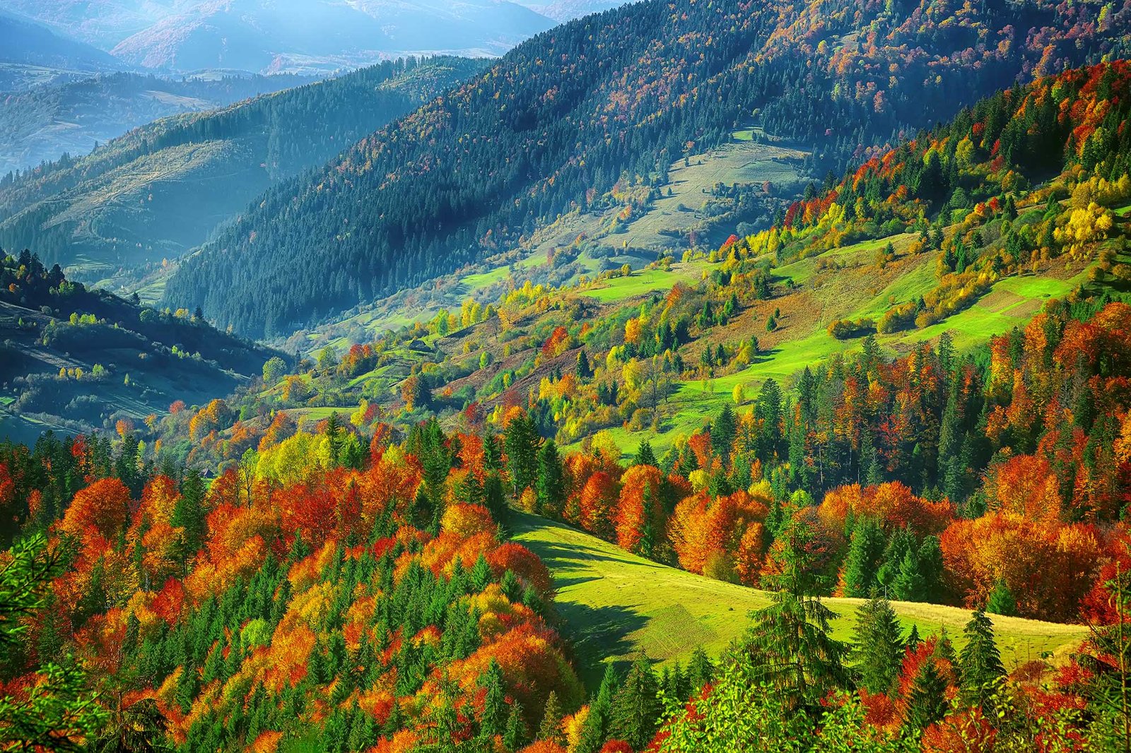 Natural Lands