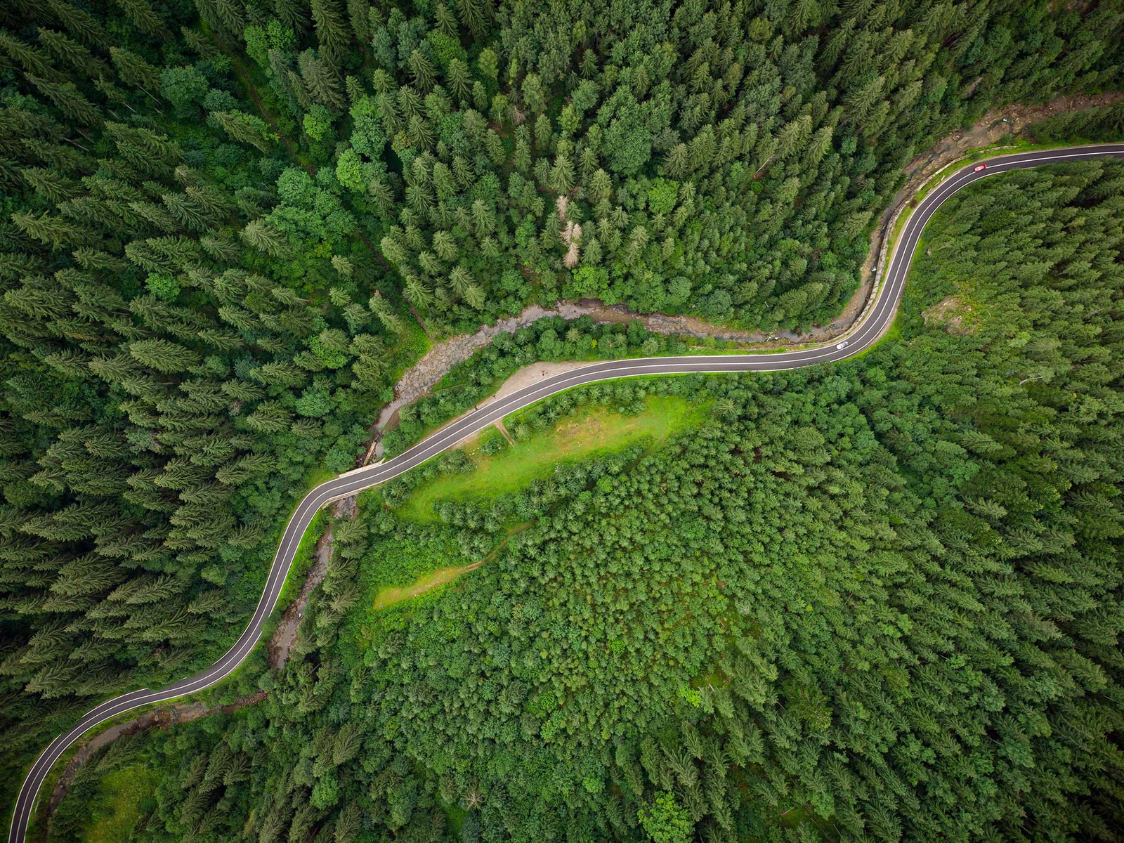 Natural Habitat